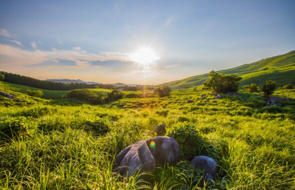 平尾台自然の里