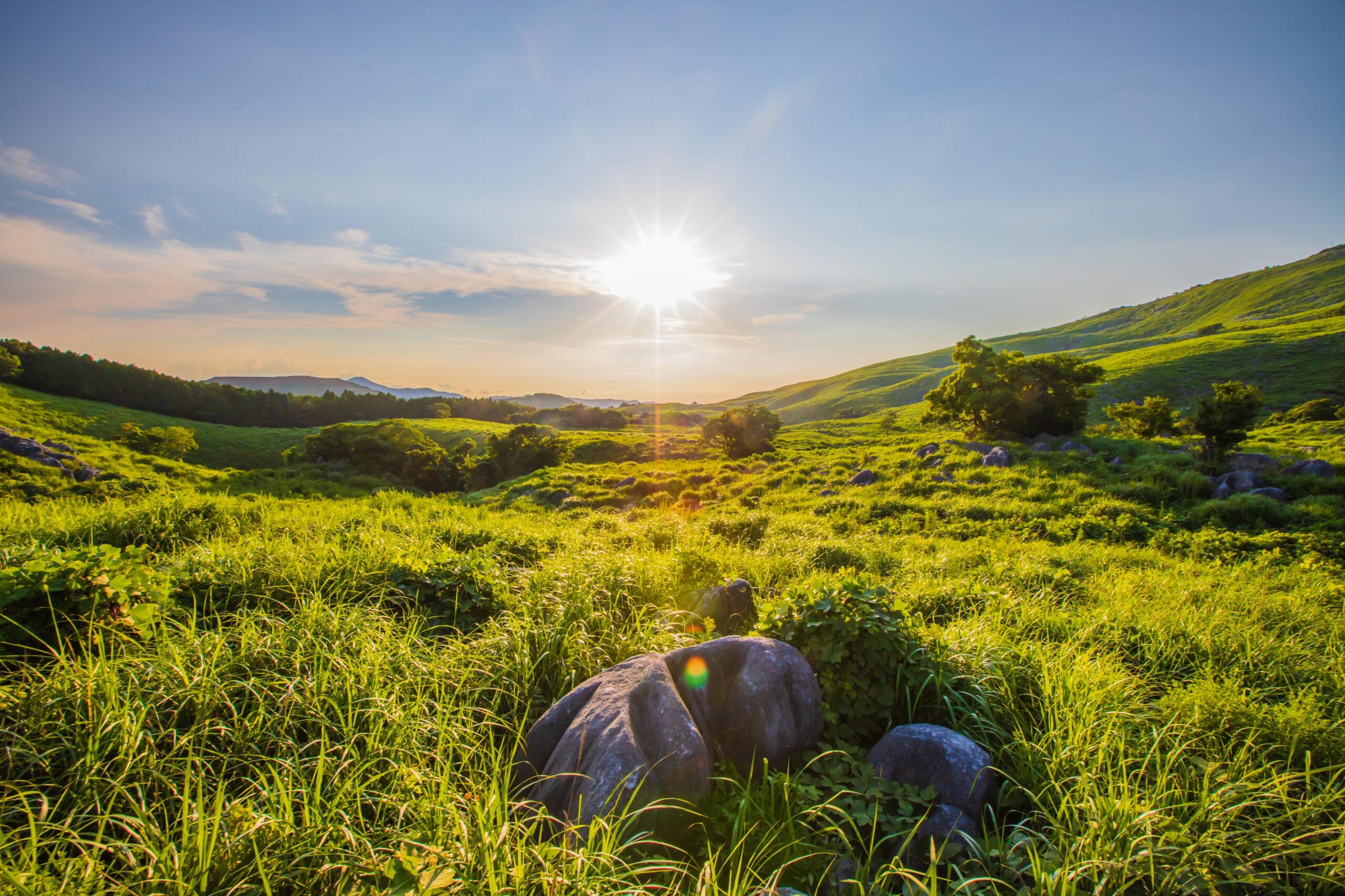 平尾台自然の里